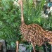 Emu Sculpture Large Garden Bird Statue Iron Metal Ornament BIG 132cm Set/3   232837044546